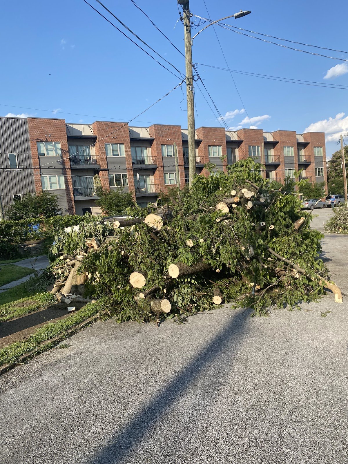 Cut storm brush cleared and stacked at the street