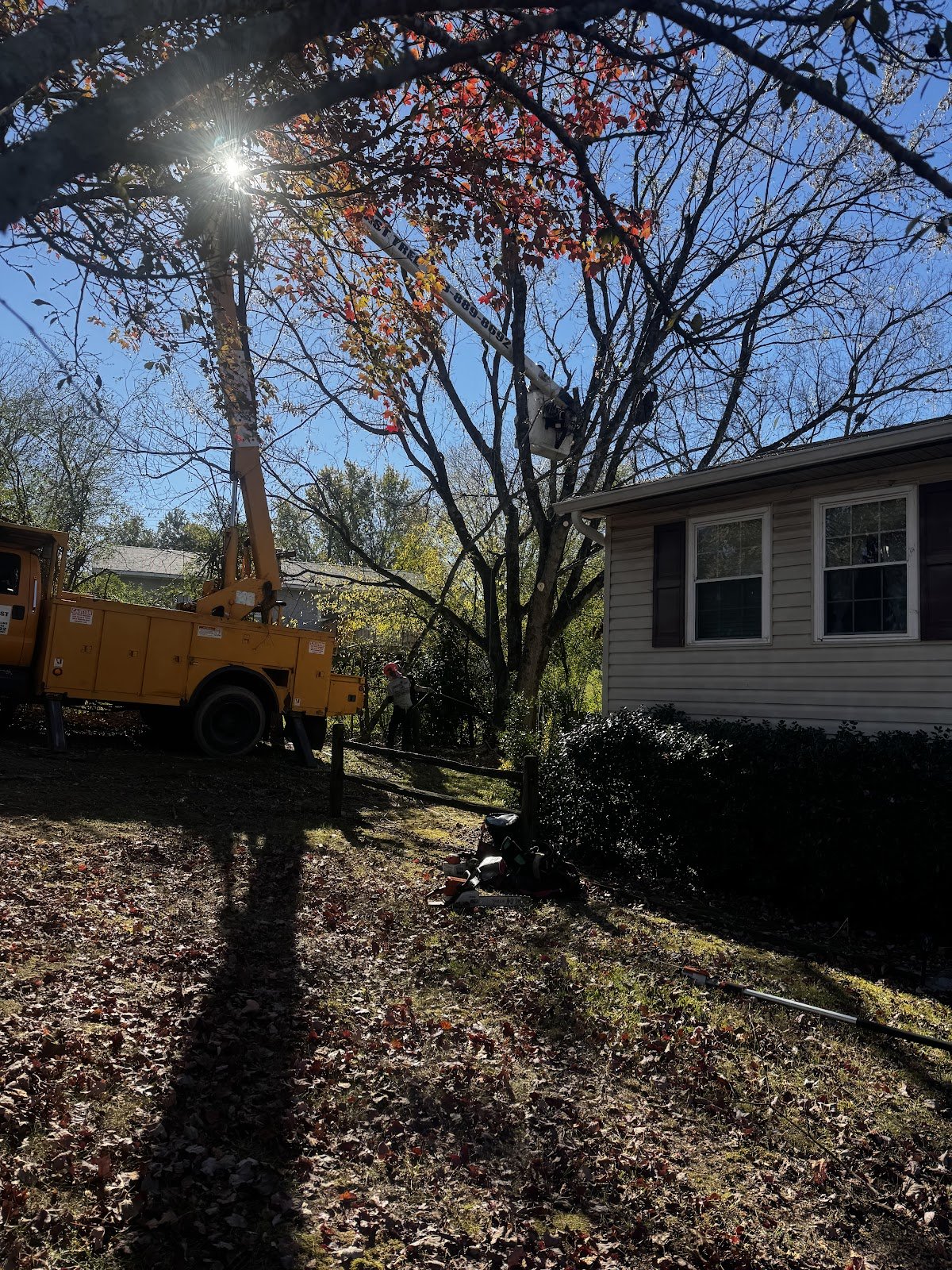 South East Tree bucket truck working beside a home