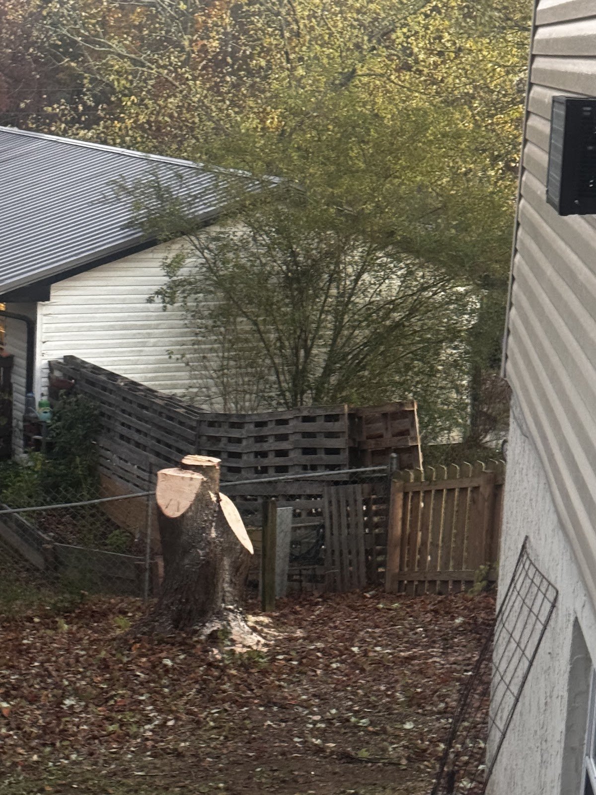 Backyard with a tree stump after tree removal beside a home